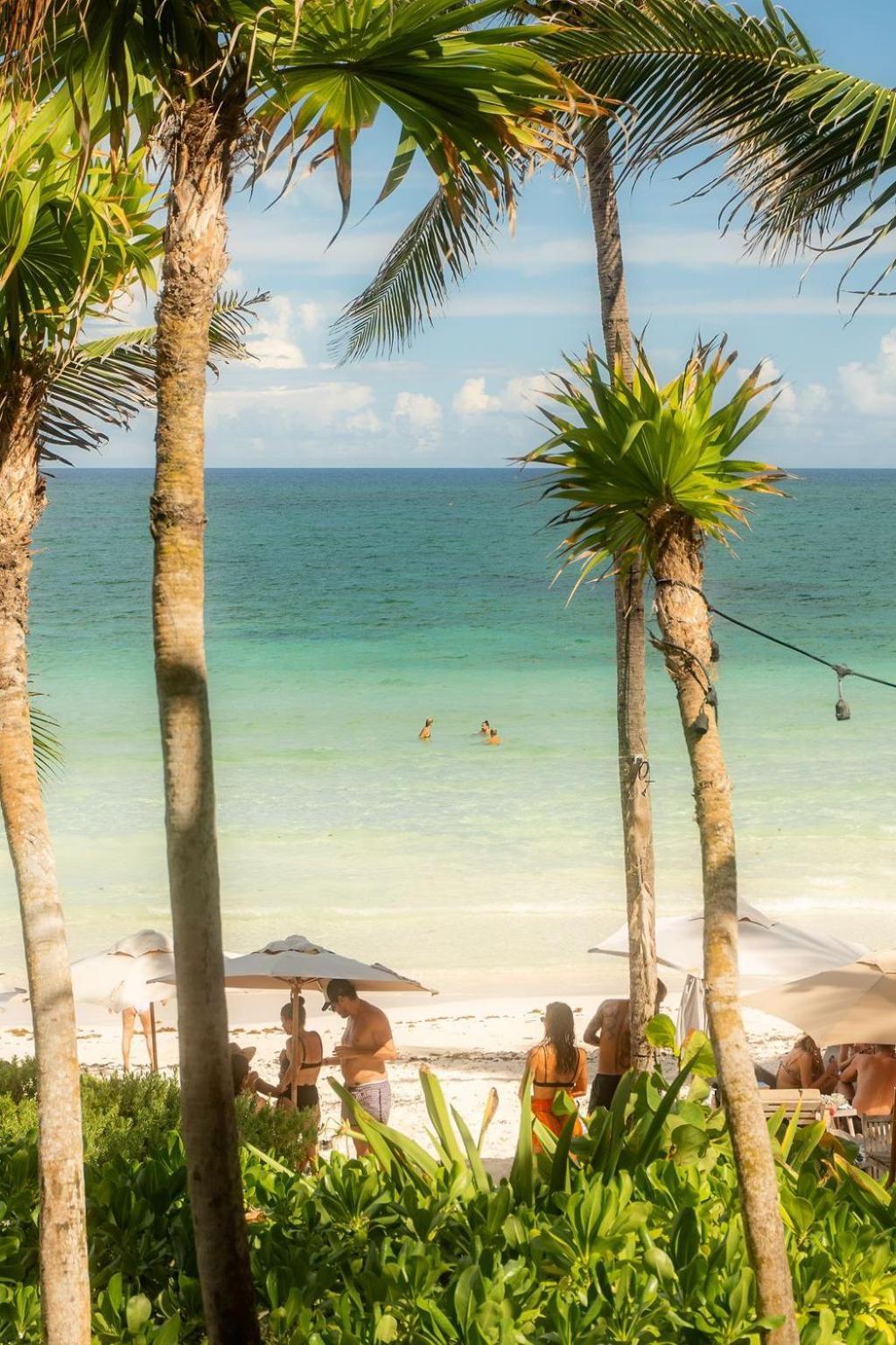 Premium Condo With Private Terrace And Pool View * Tulum