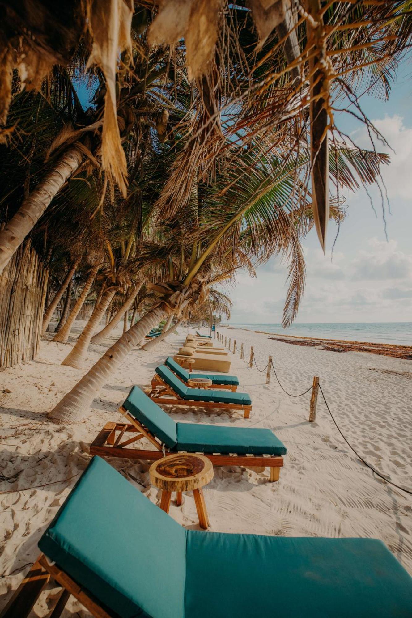 Premium Condo With Private Terrace And Pool View * Tulum
