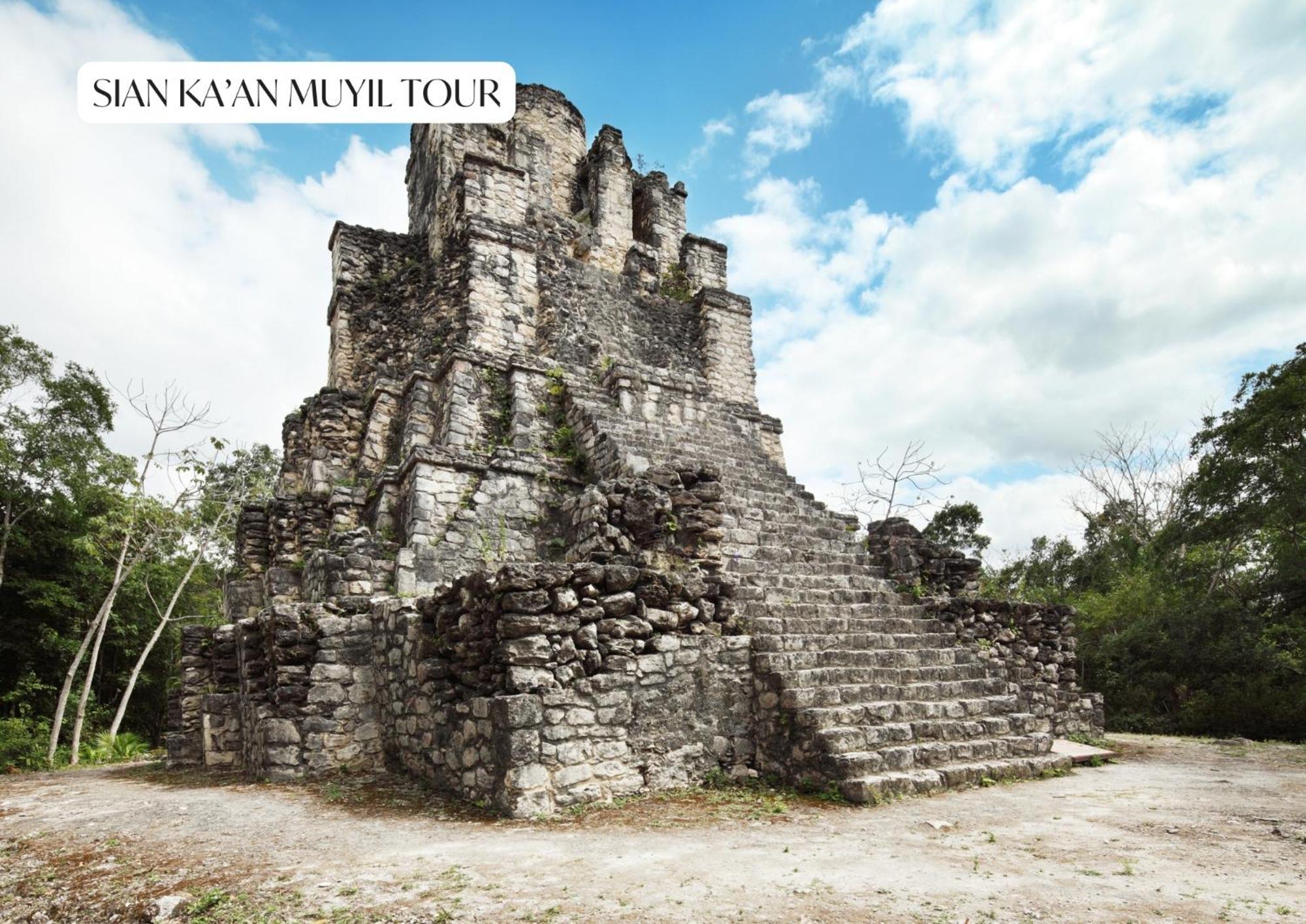 Appartement Premium Condo With Private Terrace And Pool View Tulum